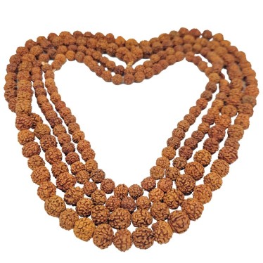Perles Rudraksha