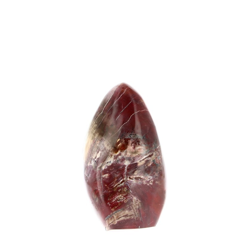 Forme Libre Bois Fossilisé de Madagascar 13.7 cm