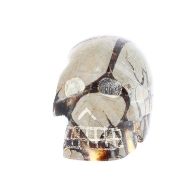 Crâne Septaria 7.5 cm