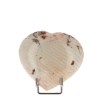 Grand Cœur Jaspe Zebra de Madagascar 8.5 cm