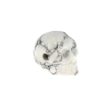 Crâne Howlite 30x25x20 mm
