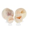 Petites Sphère Agate Cristallisée Extra