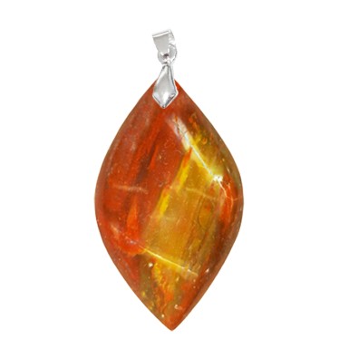 Bois Fossilisé Marquise