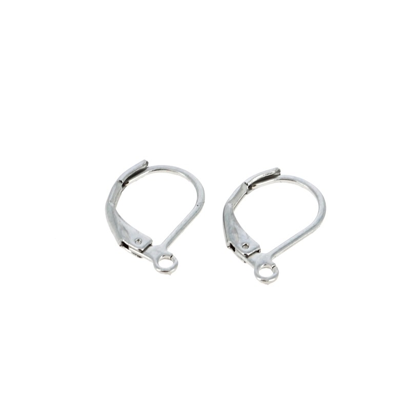 Acier Inoxydable Dormeuses pour Boucles d'oreilles