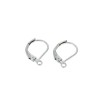 Acier Inoxydable Dormeuses pour Boucles d'oreilles